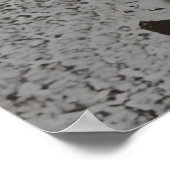 Japanse Solaris Poster (Hoek)