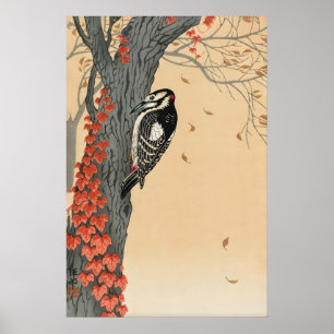 Japanse Specht Kunstprint  Ohara Koson Rode Klimop Poster