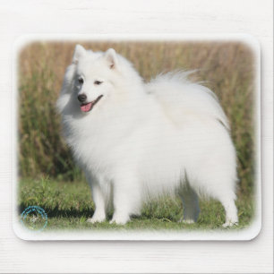 Japanse Spitz 9Y576D-261 Muismat