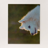 Japanse Spitz Dog. Legpuzzel (Verticaal)