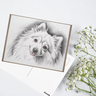 Japanse Spitz-hondenras schetsillustratie Briefkaart