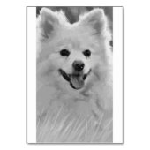 Japanse spitz kaart (Achterkant)