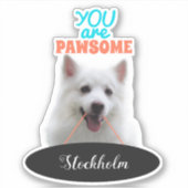 Japanse Spitz Oranje Pawsome Vinyl Stickers (Voorkant)