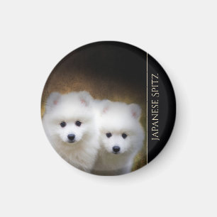 Japanse Spitz Puppies Magnet Magneet