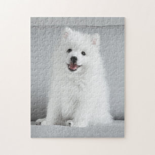 Japanse spitz-puppy legpuzzel