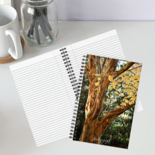 Japanse Stewartia Boom Botanische Foto Notitieboek