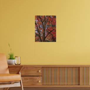 Japanse Stewartia Kleurrijke Herfstbladeren Poster