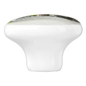 Japanse Tea Garden in San Francisco Keramische Knop (Zijkant)