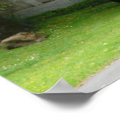 Japanse Tea Garden in San Francisco Poster (Hoek)