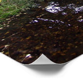 Japanse tea Garden Print (Hoek)