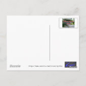 Japanse Tea Garden Waterfall Briefkaart (Achterkant)