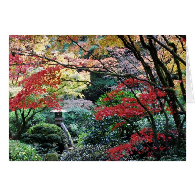 Japanse tuin (Voorkant Horizontaal)