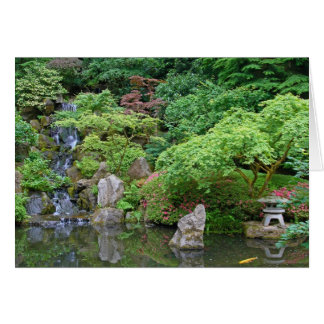 Japanse tuin 2