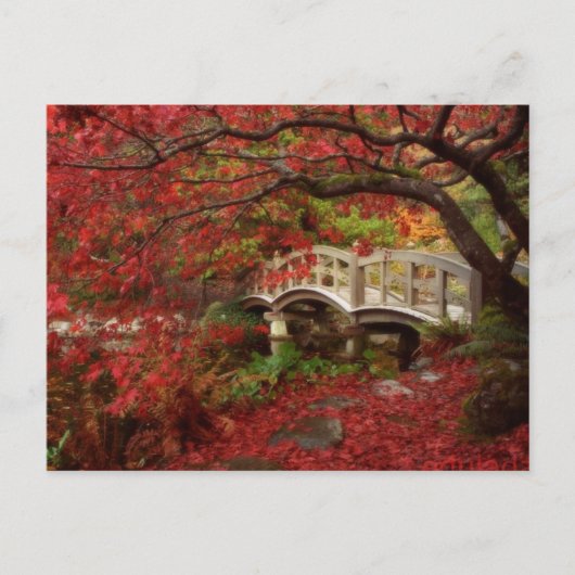 Japanse tuin briefkaart (Voorkant)