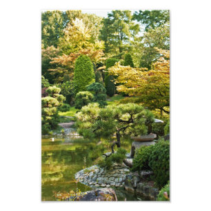Japanse Tuin Foto Afdruk