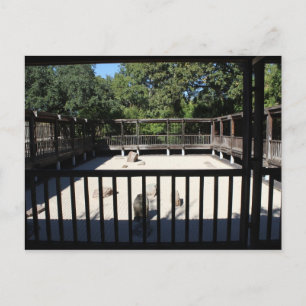 Japanse tuin in Fort Worth Texas # 54 Briefkaart