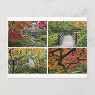 Japanse tuin in het najaar van het Colorful Season Briefkaart