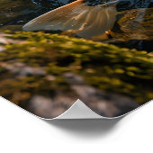 Japanse Tuin & Koi Vijver - Fotografisch Beeld Poster (Hoek)