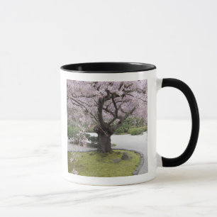 Japanse Tuin Portland, Portland, Oregon, Mok