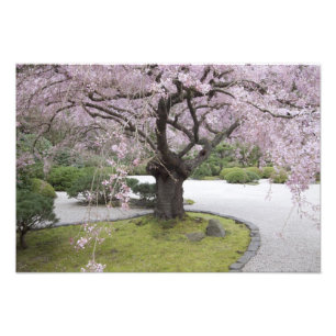 Japanse tuin van Portland, Portland, Oregon, Foto Afdruk