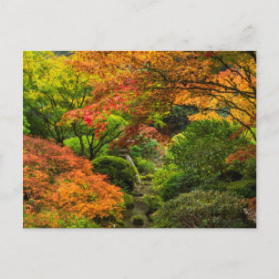 Japanse tuinen in de herfst in Portland, Oregon 2 Briefkaart