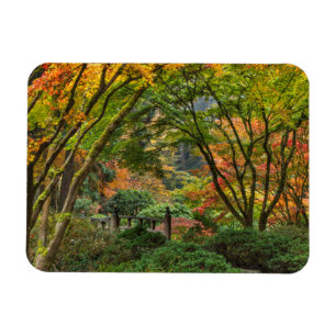 Japanse Tuinen In De Herfst In Portland, Oregon 4 Magneet