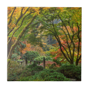 Japanse tuinen in de herfst in Portland, Oregon 4 Tegeltje