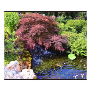Japanse tuinwaterval foto afdruk