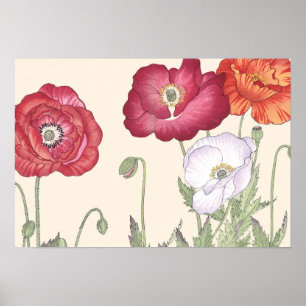 Japanse Ukiyo Art Poppy Flowers Poster