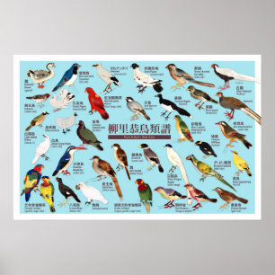 Japanse Vogelatlas Poster