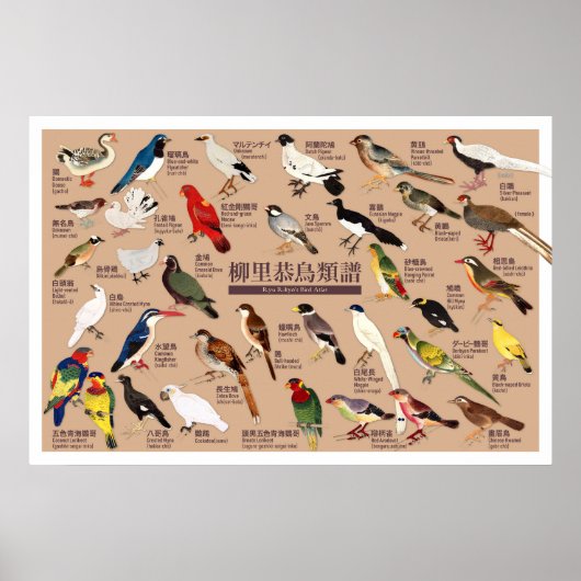  Japanse Vogelatlas Poster (Voorkant)