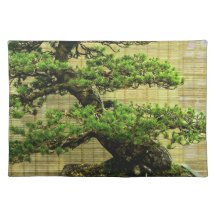 Japanse Witte Pine Bonsai Boom Bloemen Foto