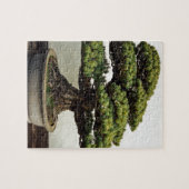 Japanse witte pine Bonsai-boom Legpuzzel (Horizontaal)