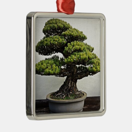 Japanse witte pine Bonsai Metalen Ornament (Rechts)