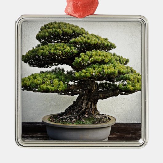 Japanse witte pine Bonsai Metalen Ornament (Voorkant)