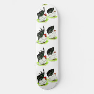 Japanse zwarte witte bantams skateboard