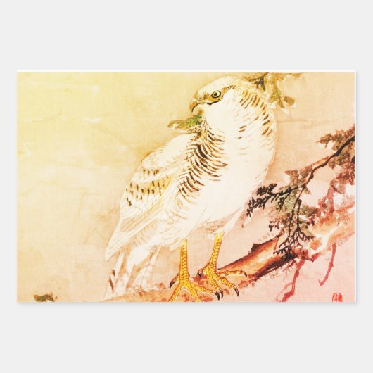 JAPONAIS FALCOLN Wrapper Papier Set (Devant)