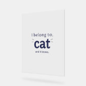 J'appartiens à mon chat (Angle)