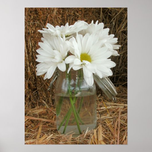 Jar of Daisies & Hay Poster (Voorkant)