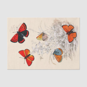 Jardin 10" de papillon X 15" papier de soie de