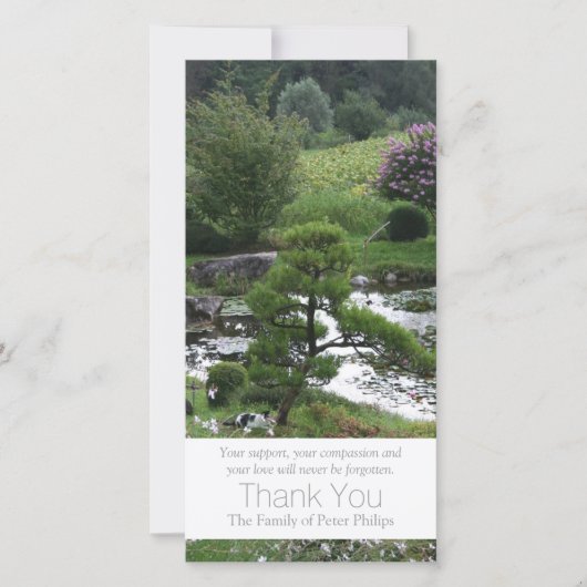 Jardin 3 avec le Merci 3 de sympathie de chats (Devant)