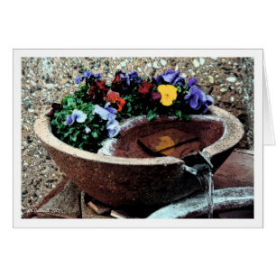 Jardin aquatique