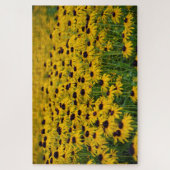 Jardin aux fleurs - 20x30 - 1014 pcs Jigsaw Puzzle (Vertical)