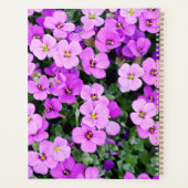 Jardin aux fleurs violettes (Dos)