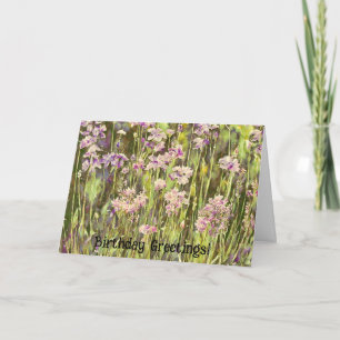Jardin aux fleurs violettes Carte d'anniversaire