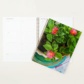 Jardin Bébé Rose Soleil Plante Dans Un Pot (Devant avec enveloppe)