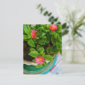 Jardin Bébé Rose Soleil Plante Dans Un Pot Carte P (Debout devant)