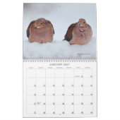 Jardin Birds Birdwatcher Calendrier (Jan 2027)