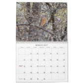 Jardin Birds Birdwatcher Calendrier (Mar 2027)