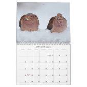 Jardin Birds Birdwatcher Calendrier (Jan 2026)